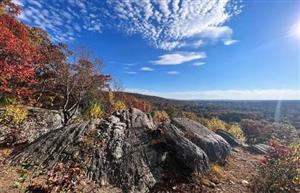 View from Goat Rock