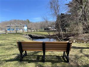 Nardi Bench 